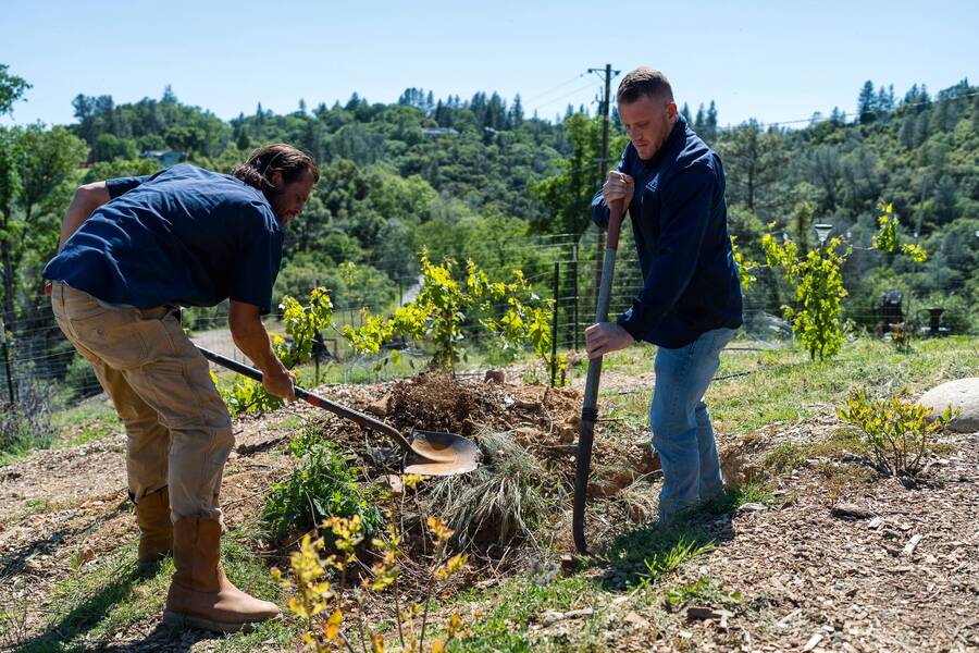 Sewer Repair in Carmichael, CA